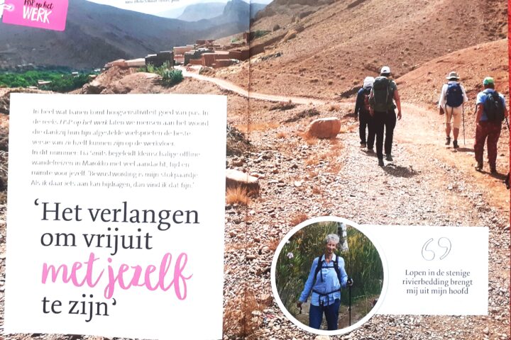 Blog Artikel hsp magazine 1 720x480