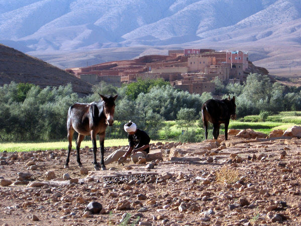 ontspannen wandelreizen mgoun rozen vallei